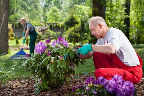 Seasonal garden care services in Yiewsley